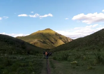 720 2024 05 02t075222.601