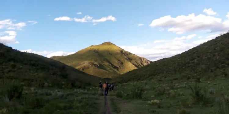 720 2024 05 02t075222.601