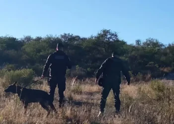 720 2024 05 06t080212.885