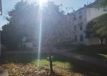 720 2024 05 17t084611.849