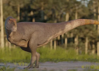 720 2024 05 22t051517.176