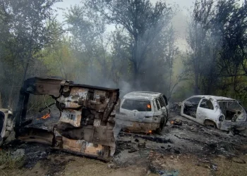 720 2024 05 23t125629.520