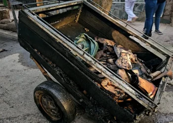 720 2024 05 23t130605.783