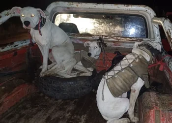 720 2024 05 27t120736.648