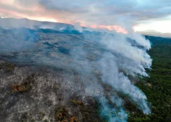 720 2024 05 28t121442.660