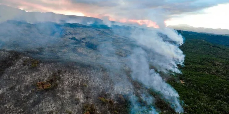 720 2024 05 28t121442.660