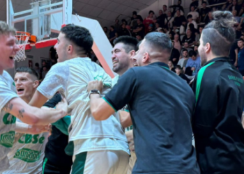 Tamano foto web 42 750x274