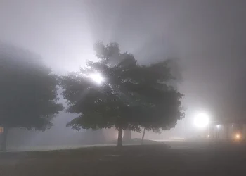 720 2024 06 05t084837.283