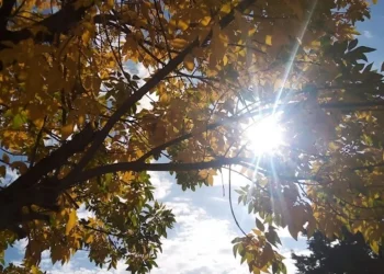 720 2024 06 12t090045.891