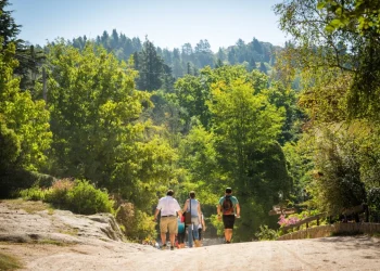 720 2024 06 18t073222.421