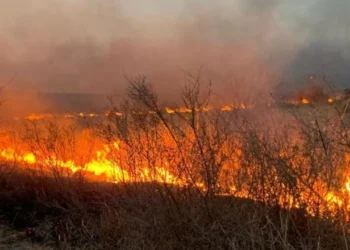 720 2024 09 03t071103.925