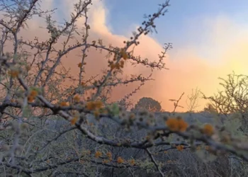 720 2024 09 03t071420.667