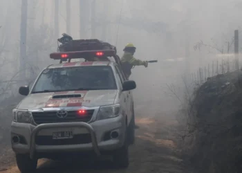 720 2024 09 04t065216.766