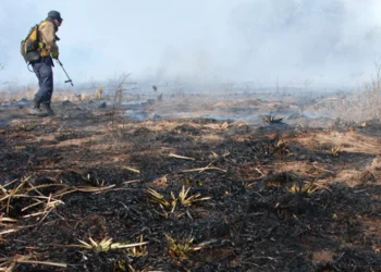 720 2024 09 09t065819.224