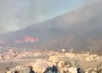 720 2024 09 17t080913.979