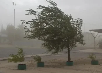 720 2024 09 17t081747.572