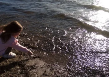 720 2024 09 19t082848.379