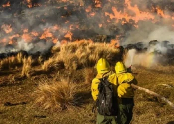 720 2024 09 19t084141.275