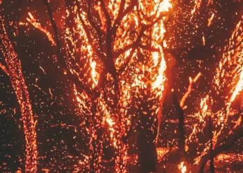 720 2024 09 20t083348.926