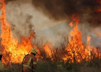 E2ff64a9 d696 46dd a951 e8eeb0da9520