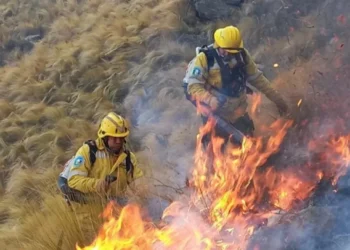 720 2024 10 02t155236.995