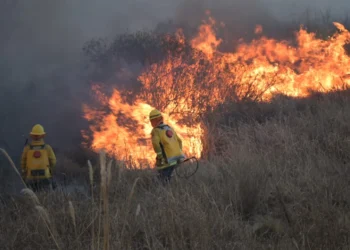 720 2024 10 02t155936.552