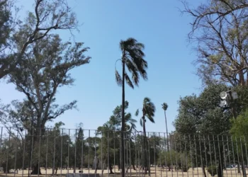 720 2024 10 03t085225.733