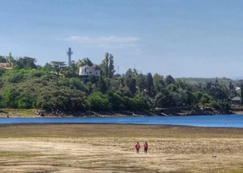 720 2024 10 04t091002.960