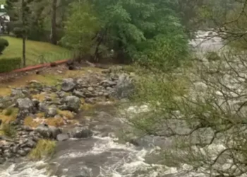 720 2024 10 09t061712.918