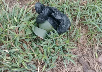 720 2024 10 10t122758.004