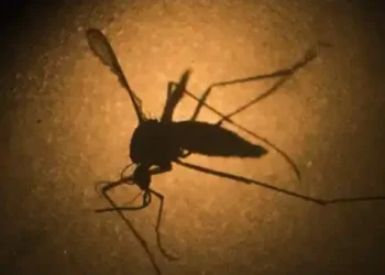 720 2024 10 18t112549.133