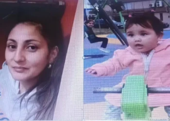 720 2024 10 31t113455.971