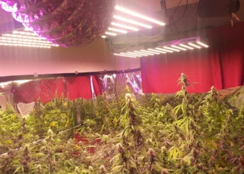 720 2024 10 31t113659.546