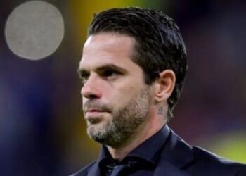 Gzz8h5twcaijipd 750x279