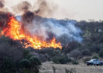 720 2024 11 06t174024.974