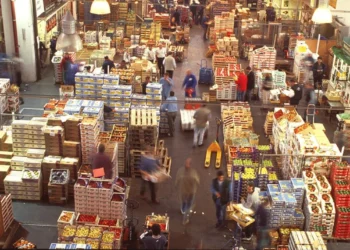 720 2024 11 06t174127.054