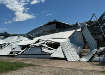 720 2024 11 12t075849.247