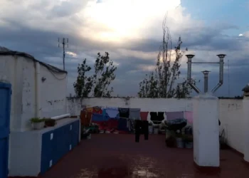 720 2024 11 14t081522.026