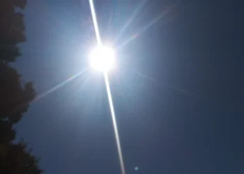 720 2024 11 15t080353.368