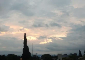 720 2024 11 21t074658.922