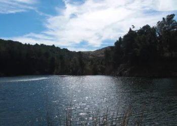 720 2024 11 21t080539.606