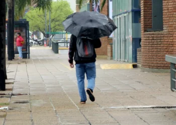 720 2024 11 25t103042.788