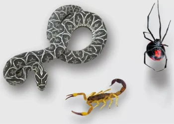 720 2024 11 25t104540.069