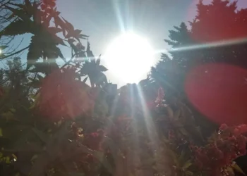 720 2024 12 02t120947.272