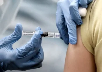 720 2024 12 02t123410.738