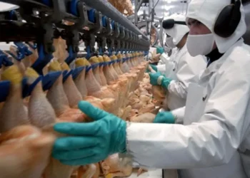 720 2024 12 03t094747.032