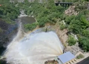 720 2024 12 03t101246.634