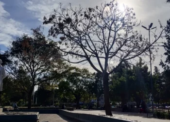 720 2024 12 04t092412.095