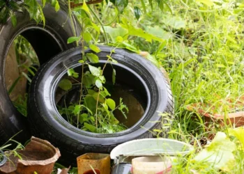 720 2024 12 09t095211.370