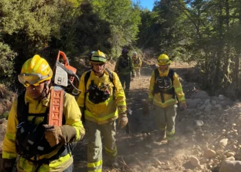 720 2025 02 12t204034.619